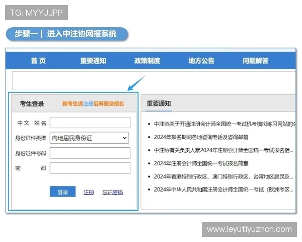 乐鱼在线网页版登录流程指南帮助用户快速顺利登录平台