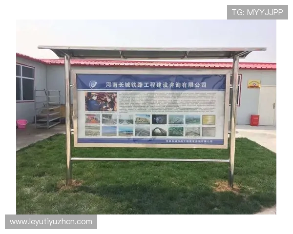 乐鱼电子有限公司官网展现公司的核心价值观与社会责任实践经验