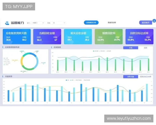 乐鱼电子股份有限公司的财务管理与投资策略分析