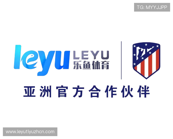 乐鱼官方入口揭秘：官方入口的多种登录方式及其安全性分析与推荐