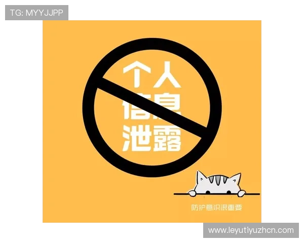 乐鱼网站登录入口安全指南，保障账号信息安全与个人隐私保护的实用技巧